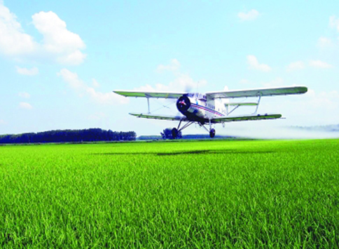 關(guān)于做好全省水稻稻瘟病防治工作的緊急通知！