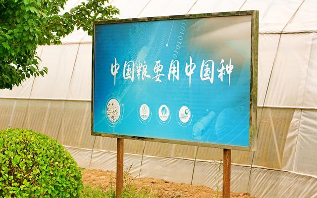 什么是種子處理？你有了解嗎？